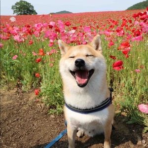 Meet your Posher, Jocelyn